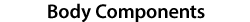 Body Components